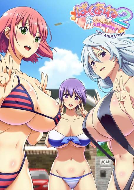 Baku Ane 2: Otouto Ippai Shibocchau zo! The Animation 2