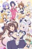 Хентай Кошачий рай ТВ-1 / Nekopara TV-1 (2020)
