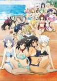 Хентай Ниндзя бунтарки: Махыч под рождество / Senran Kagura: Estival Versus - Mizugi Darake no Zen\'yasai